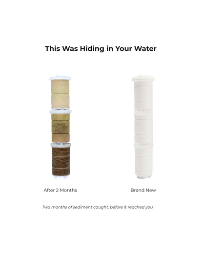 Triple Filtered Showerhead
