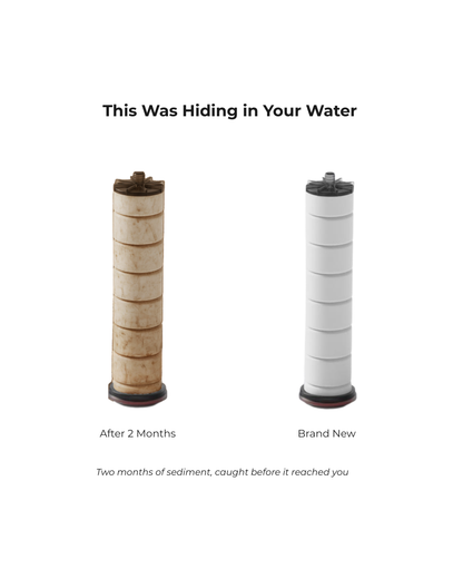 Dual Filtration Vitamin C Showerhead